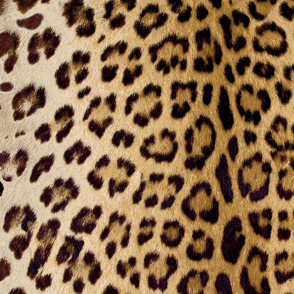 Leopard - Golden 52