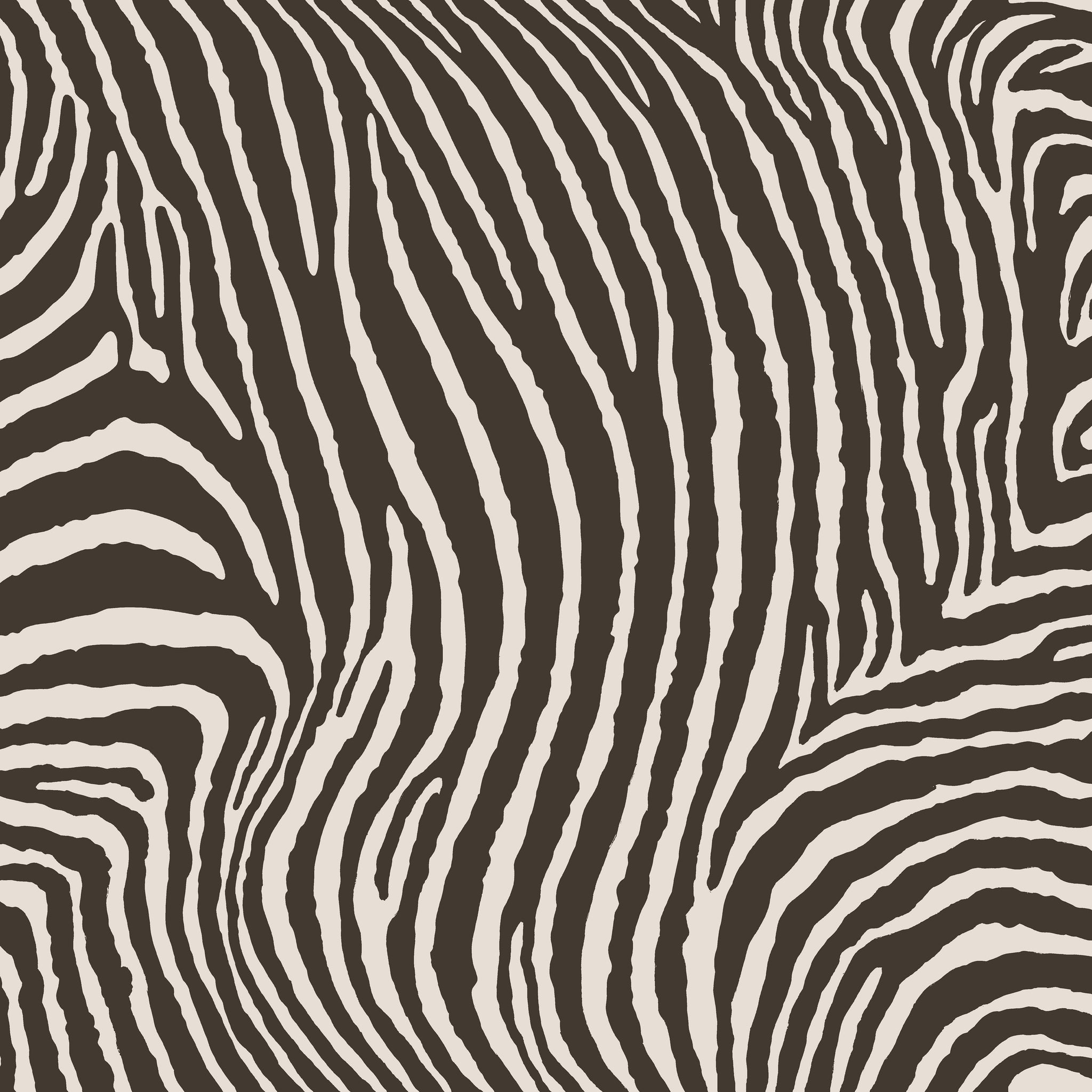 Zebra - Graphite 12