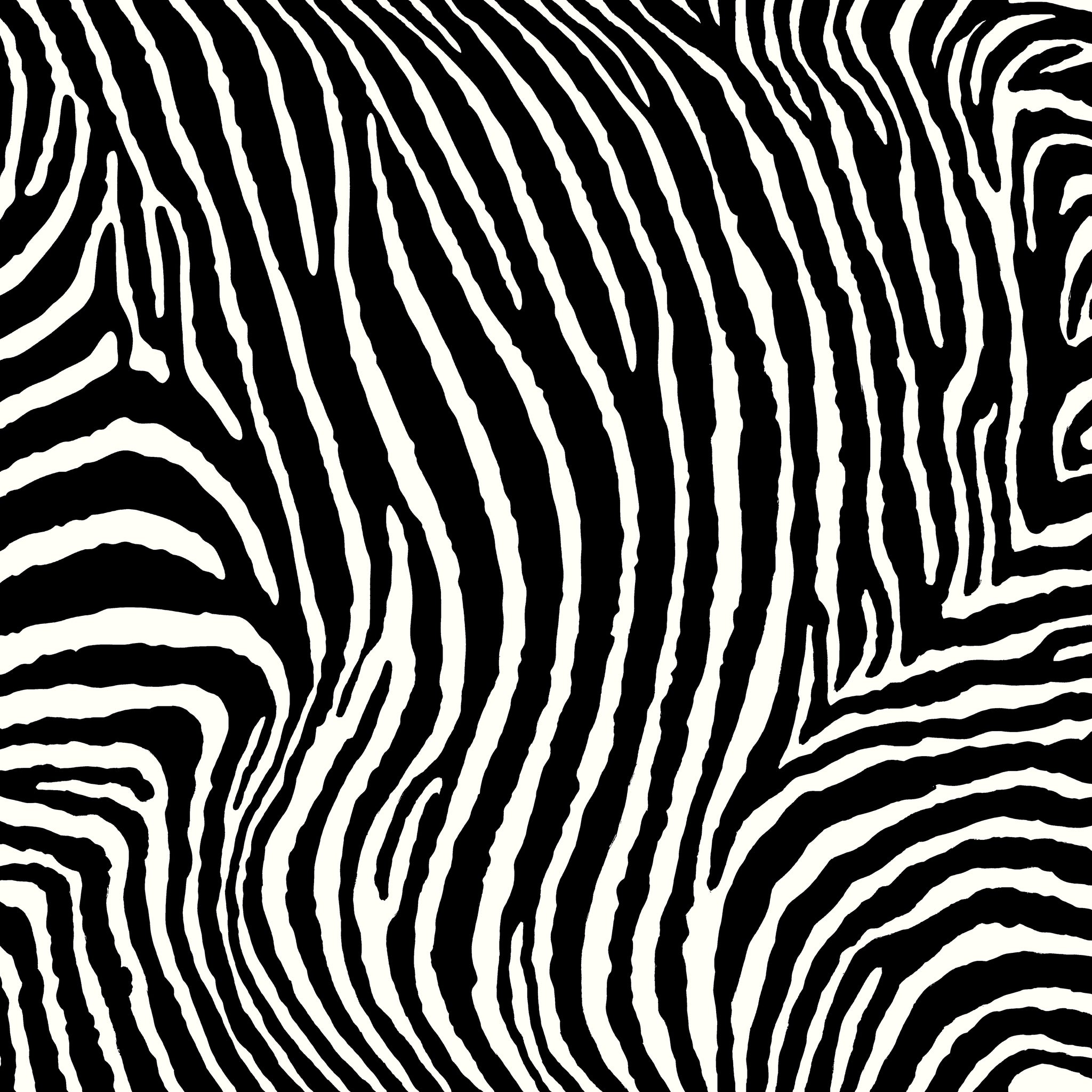 Zebra - Classic 1