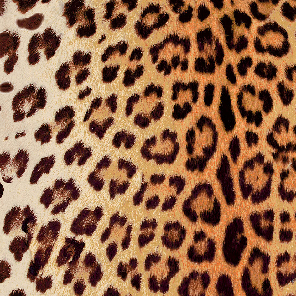 Leopard - Summer 37