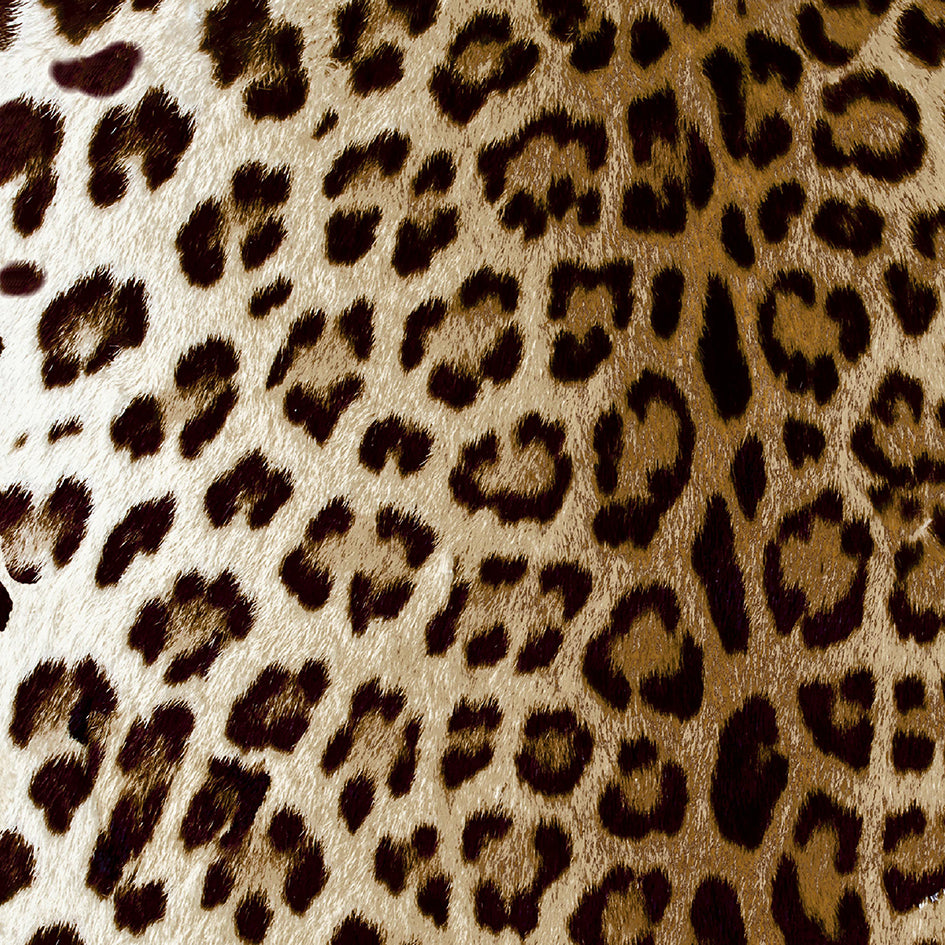 Leopard - Bronze 3
