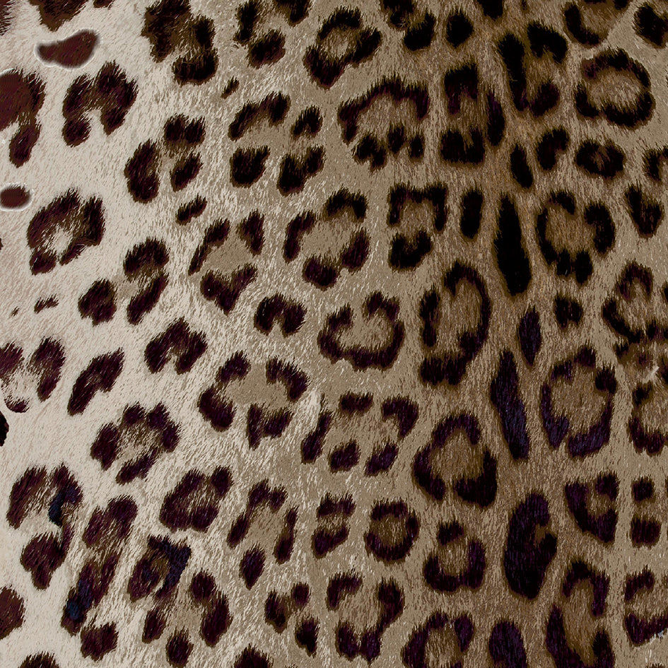 Leopard - Ash 43