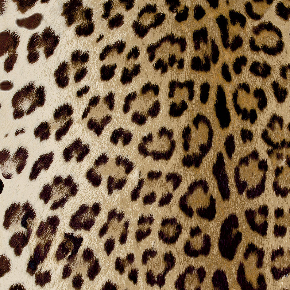 Leopard - Tan 56