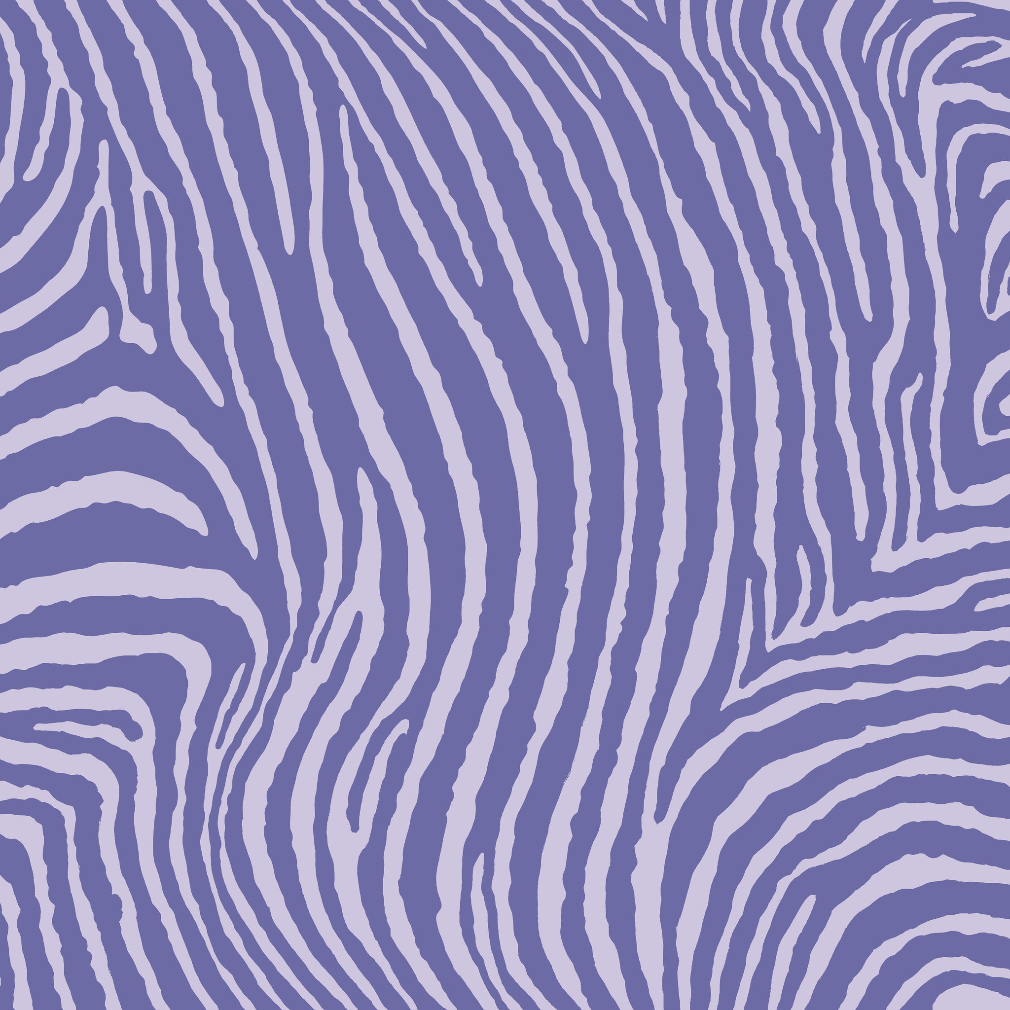 Zebra - Lavender
