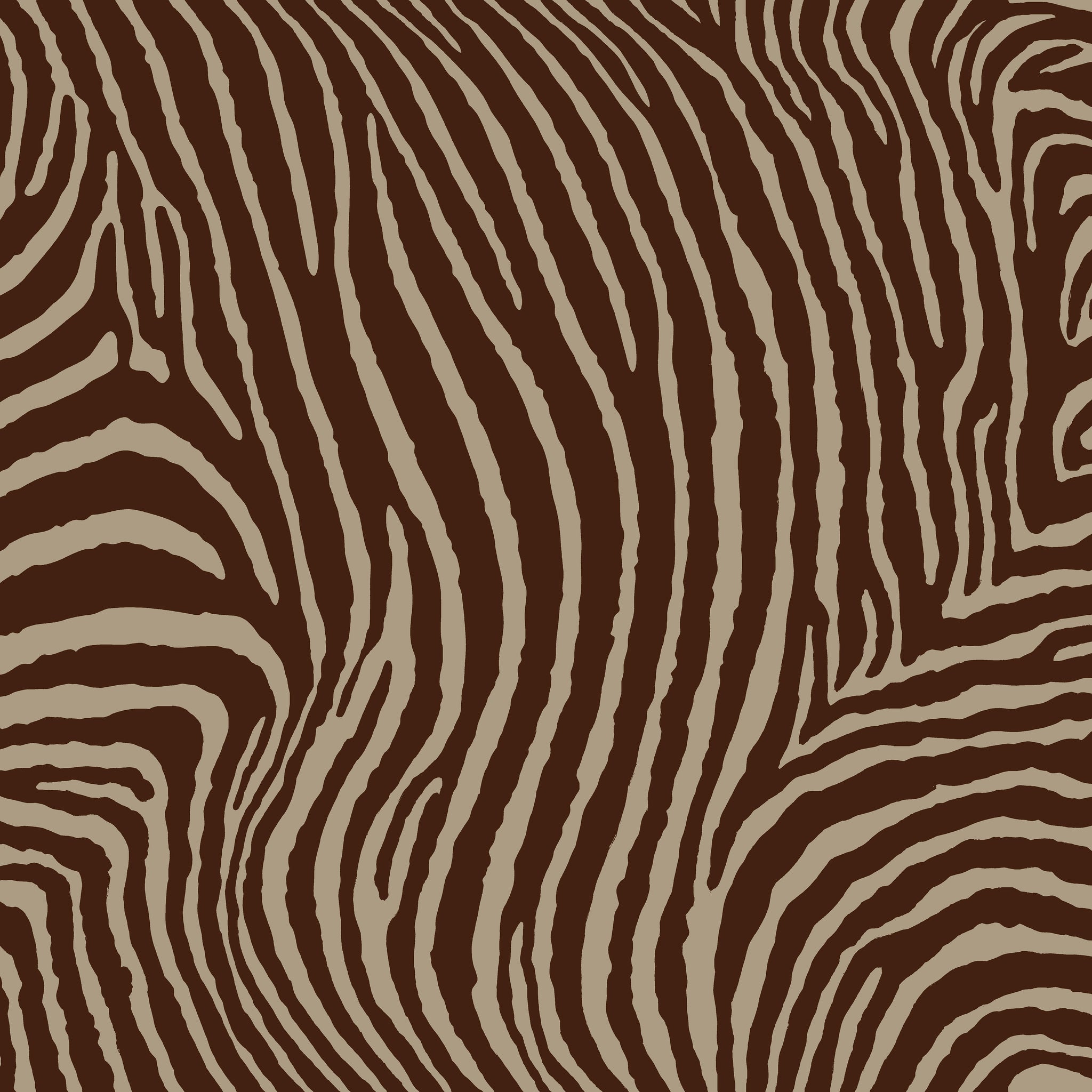 Zebra - Chestnut 8